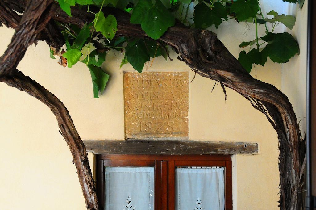 B&B Camere La Vite Pienza Bagian luar foto