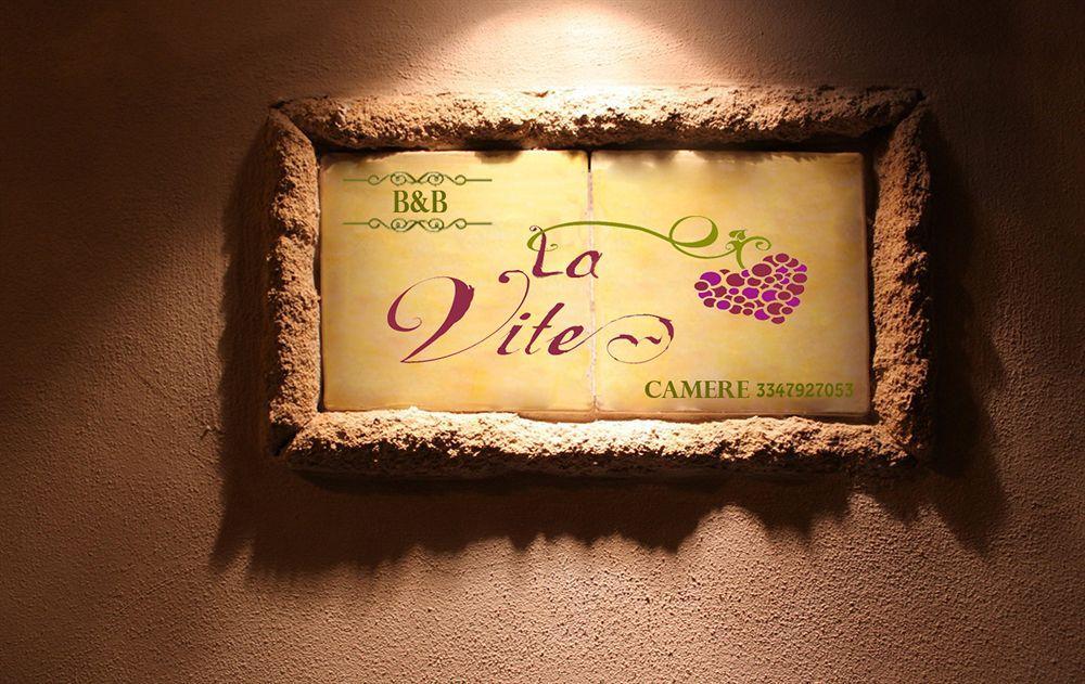 B&B Camere La Vite Pienza Bagian luar foto