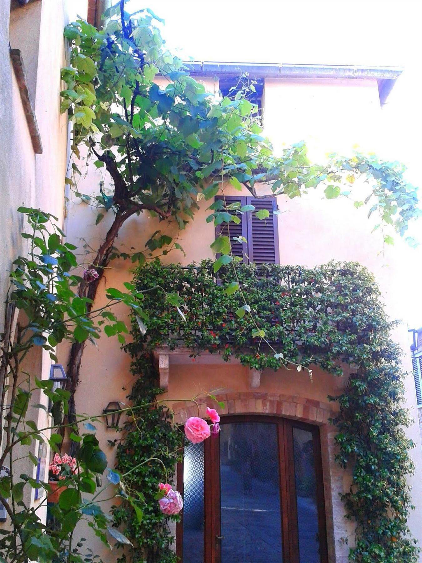 B&B Camere La Vite Pienza Bagian luar foto